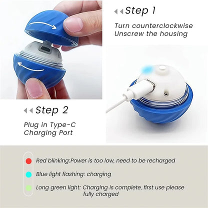 Interactive USB Rechargeable Dog and Cat Toy Ball - Bouncing Fun for Endless Play!