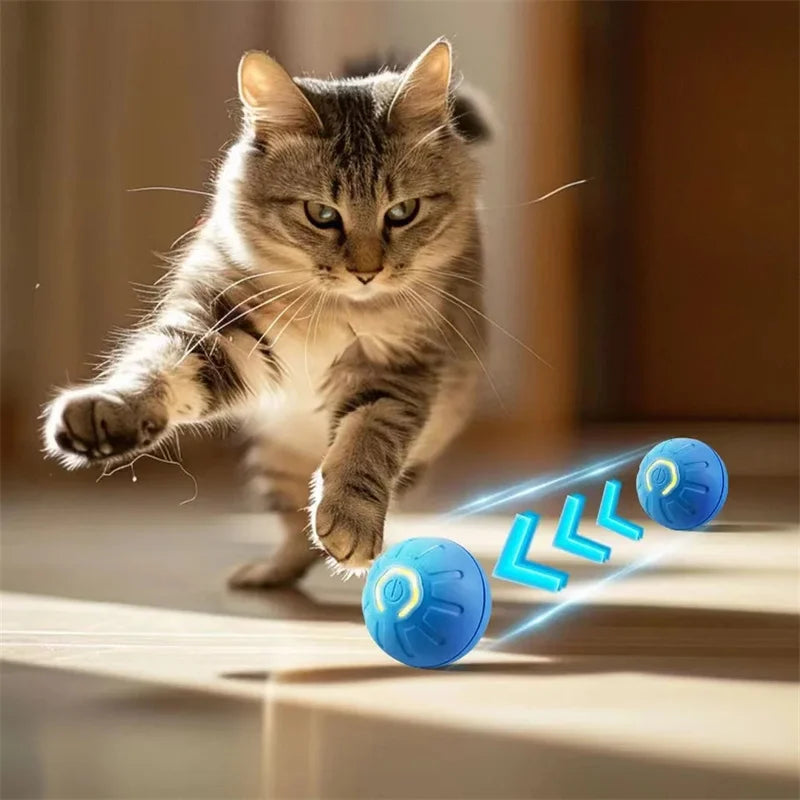 Interactive USB Rechargeable Dog and Cat Toy Ball - Bouncing Fun for Endless Play!