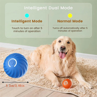 Interactive USB Rechargeable Dog and Cat Toy Ball - Bouncing Fun for Endless Play!